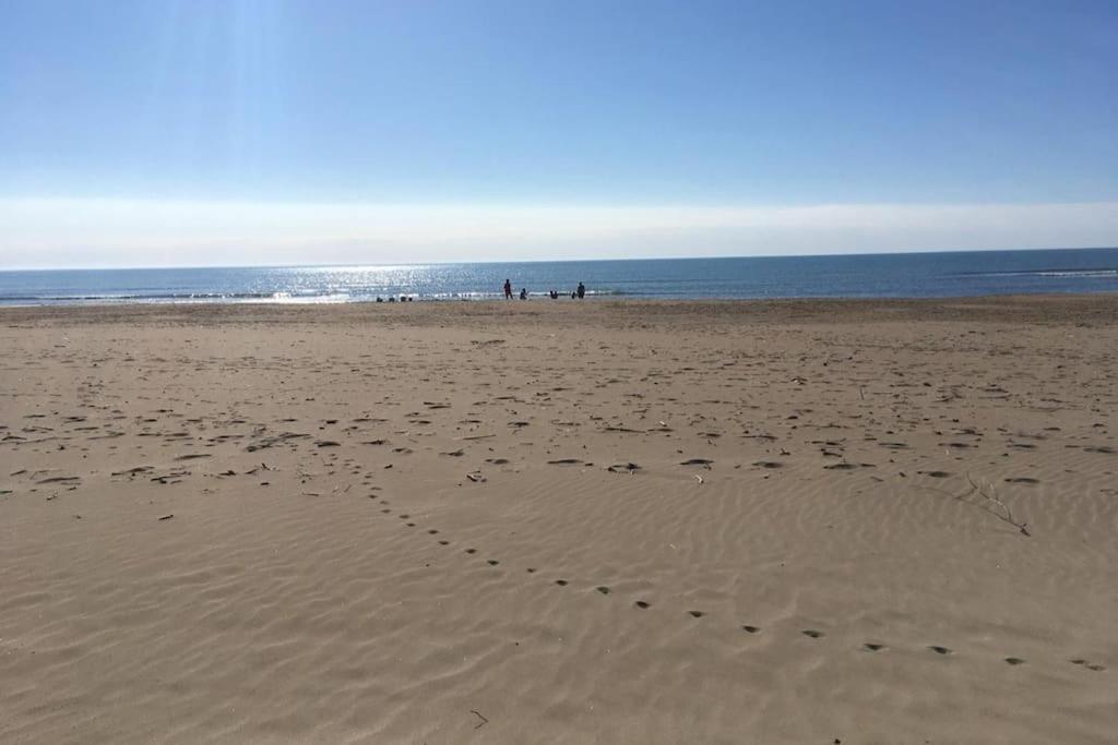 Appartement Neuf 4 Etoiles - Sunset Lodge, Narbonne Plage 外观 照片